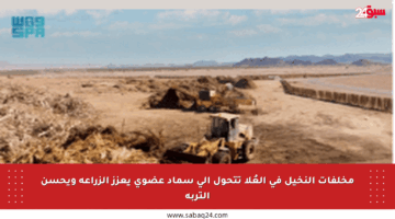 مخلفات النخيل في العُلا تتحول إلى سماد عضوي يعزز الزراعة ويحسن التربة